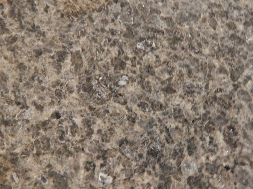 Granite tile 12