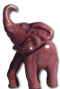 Elephant "RHF"