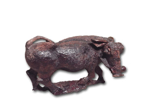 Warthog hand carved from Iron wood